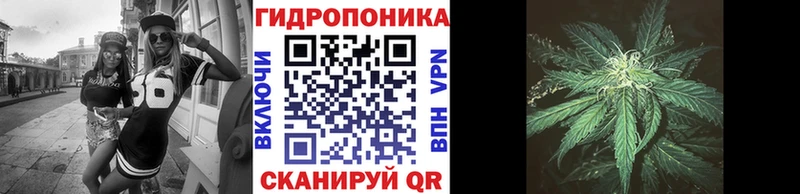 МАРИХУАНА сатива  Купить где  Сурск 